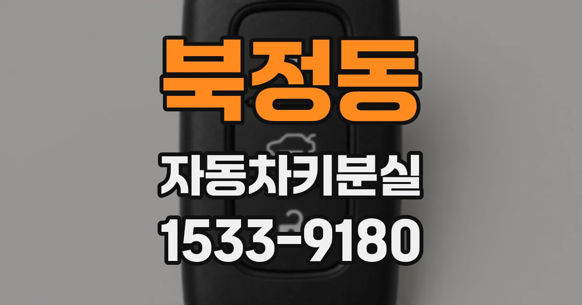 북정동 자동차키분실