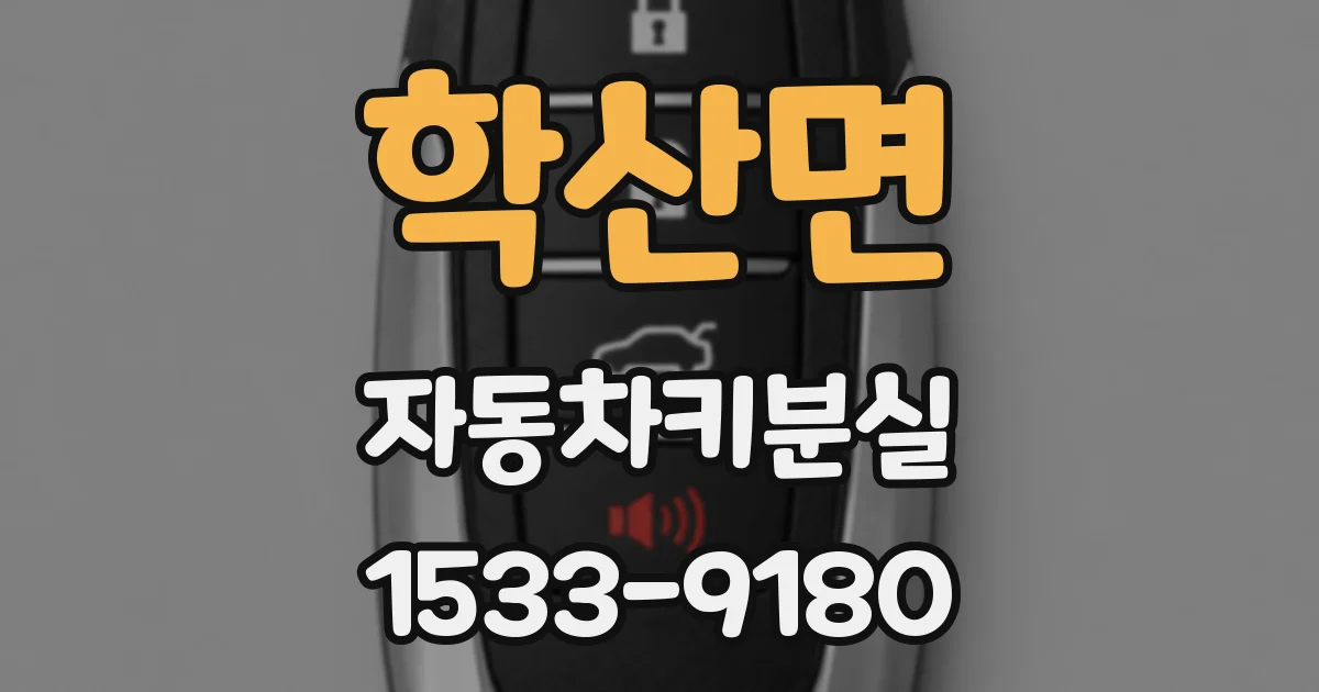 학산면 자동차키분실