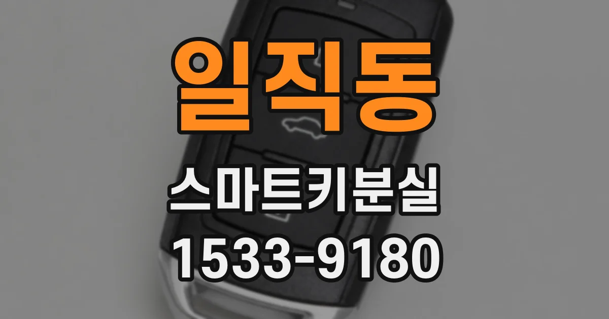 일직동 스마트키분실