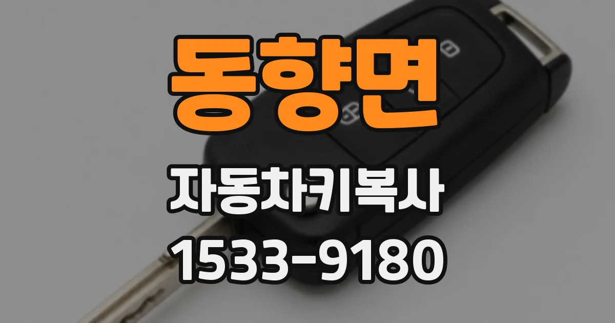 동향면 자동차키복사