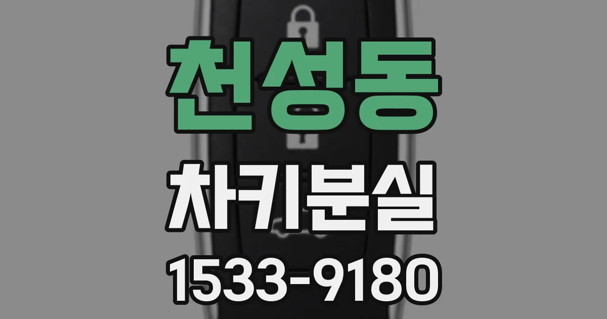 천성동 차키분실