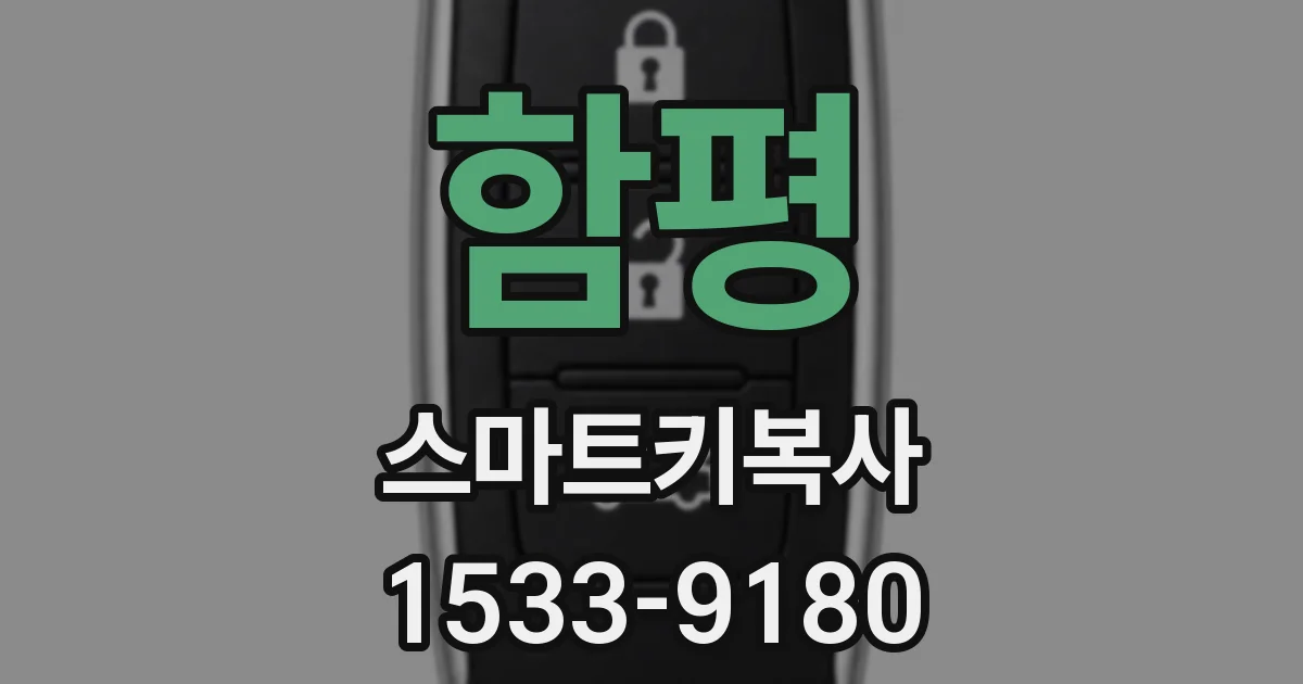 함평 스마트키복사
