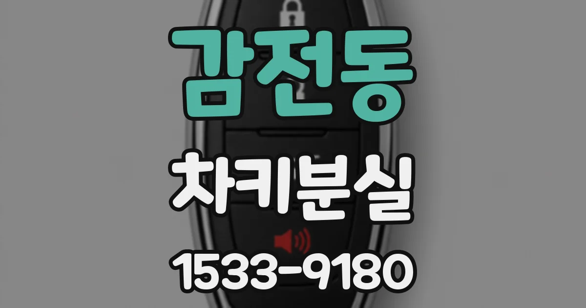 감전동 차키분실