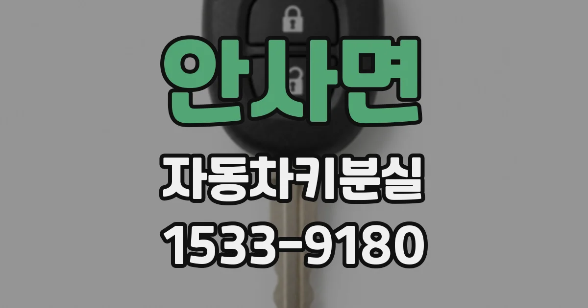 안사면 자동차키분실