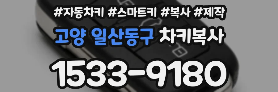 고양 일산동구 차키복사