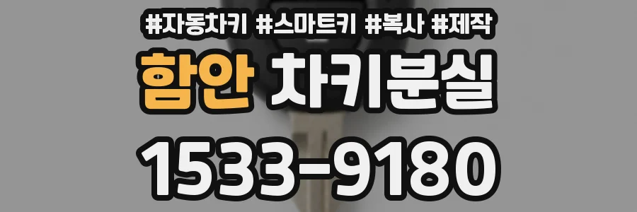 함안 차키분실