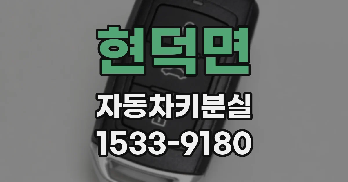 현덕면 자동차키분실