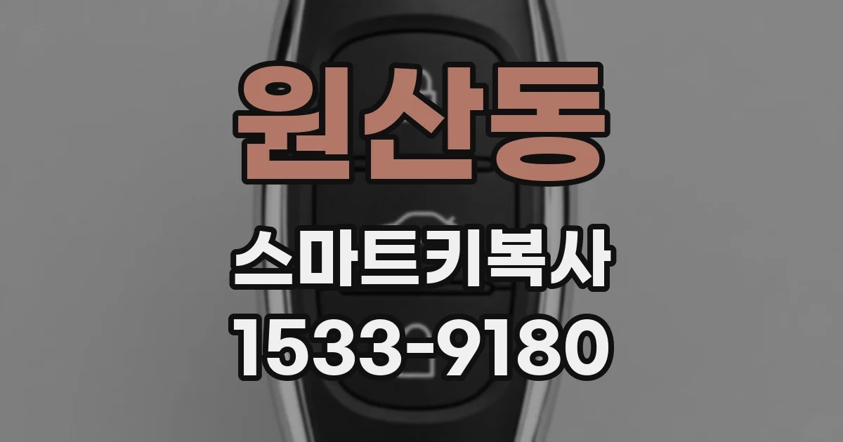 원산동 스마트키복사