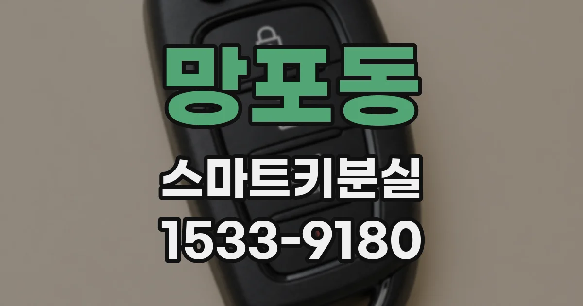 망포동 스마트키분실