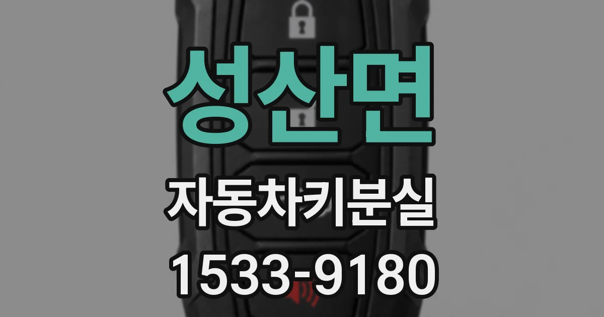 성산면 자동차키분실
