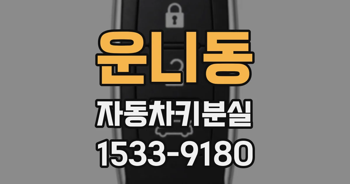 운니동 자동차키분실