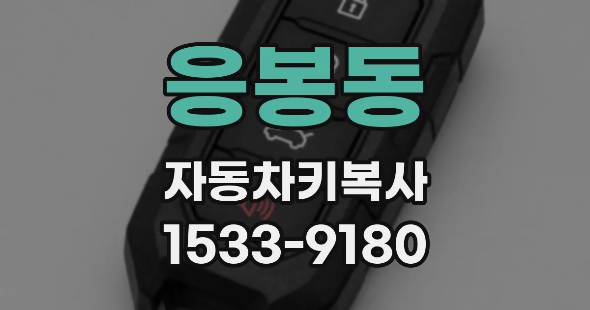 응봉동 자동차키복사