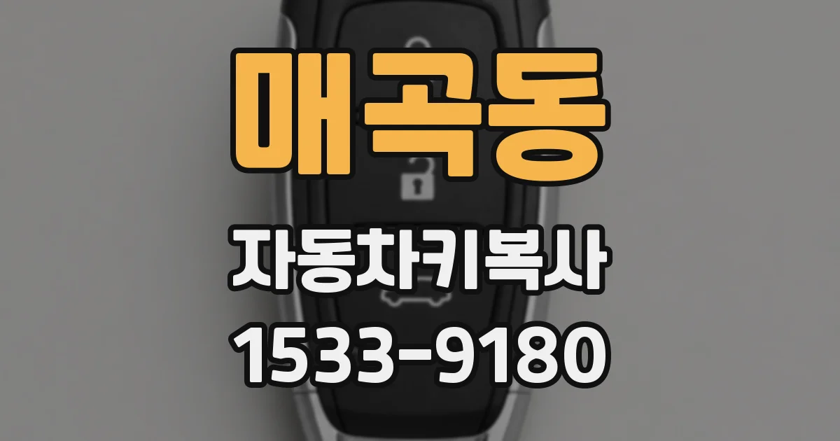 매곡동 자동차키복사