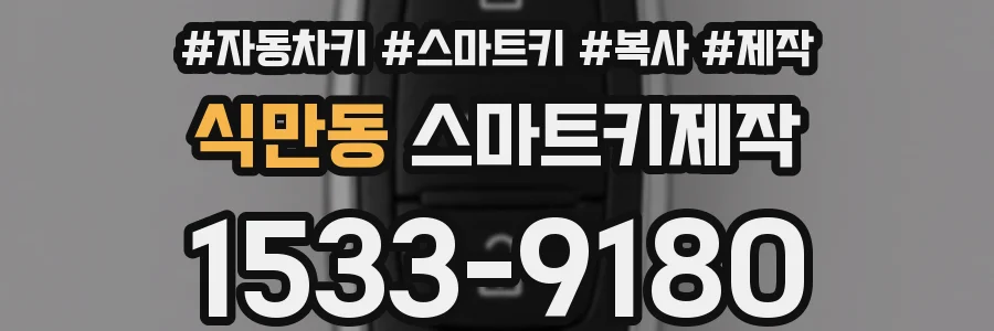 식만동 스마트키제작