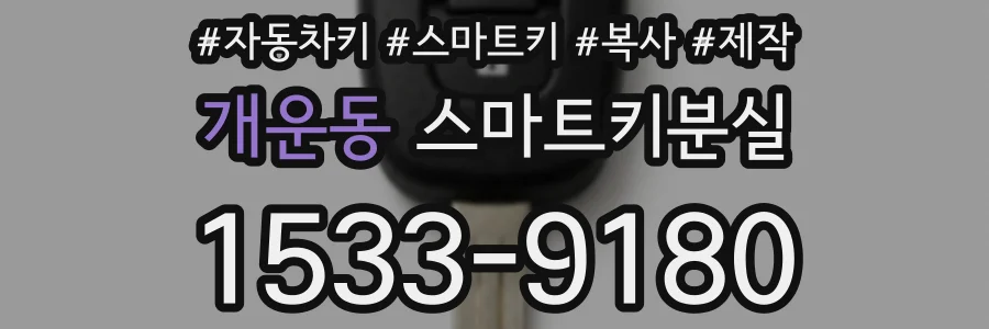 개운동 스마트키분실