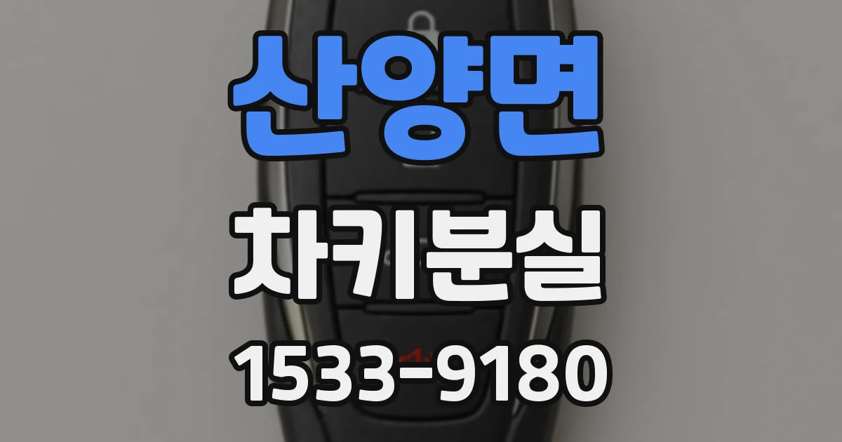 산양면 차키분실