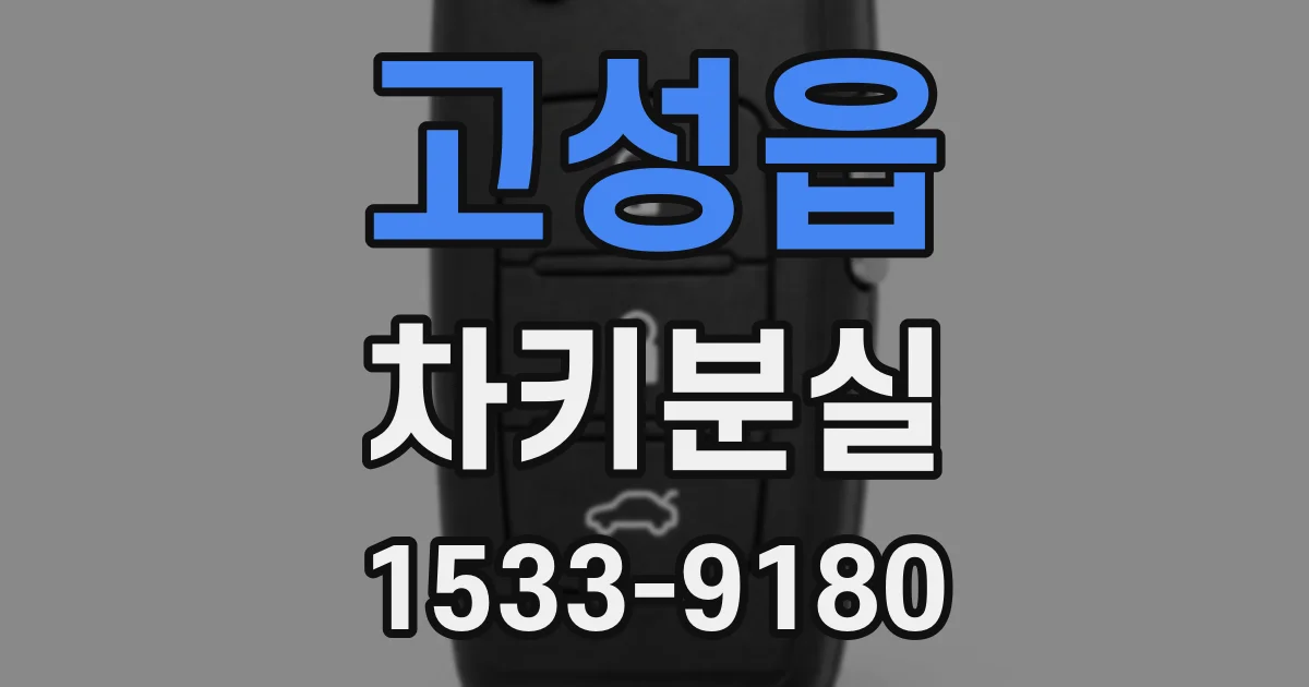 고성읍 차키분실