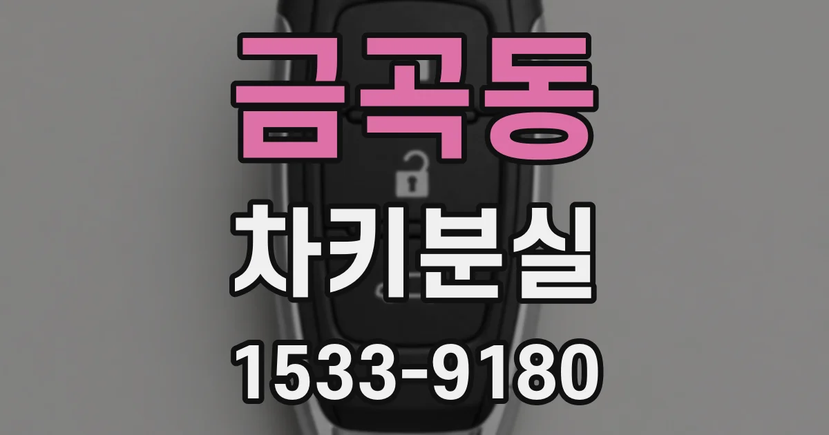 금곡동 차키분실