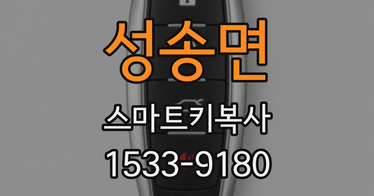 성송면 스마트키복사