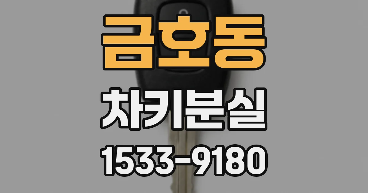 금호동 차키분실