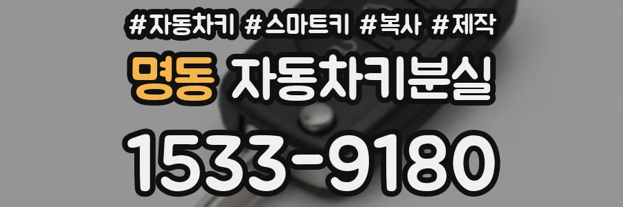 명동 자동차키분실