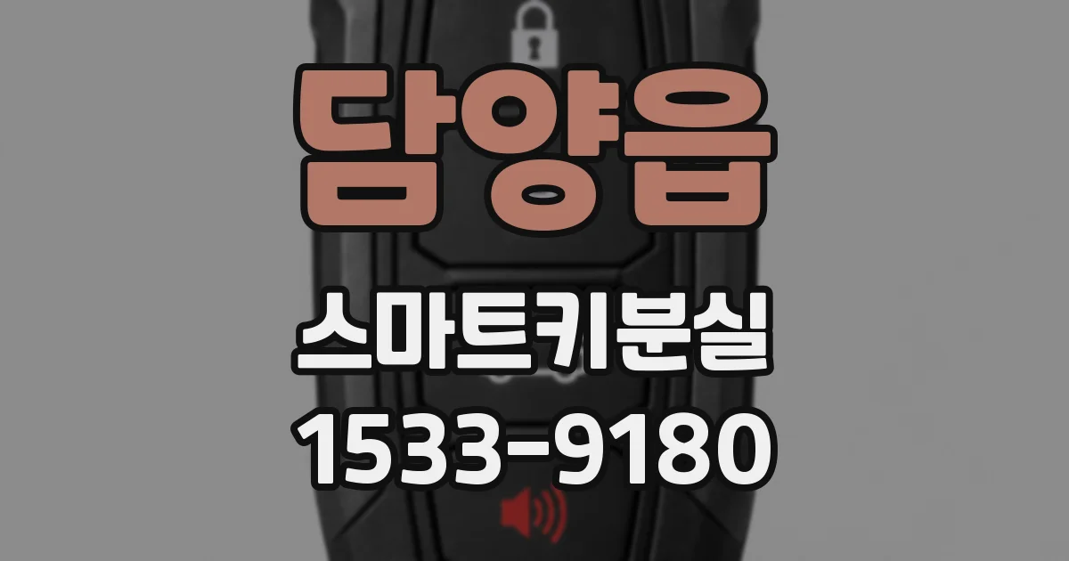 담양읍 스마트키분실