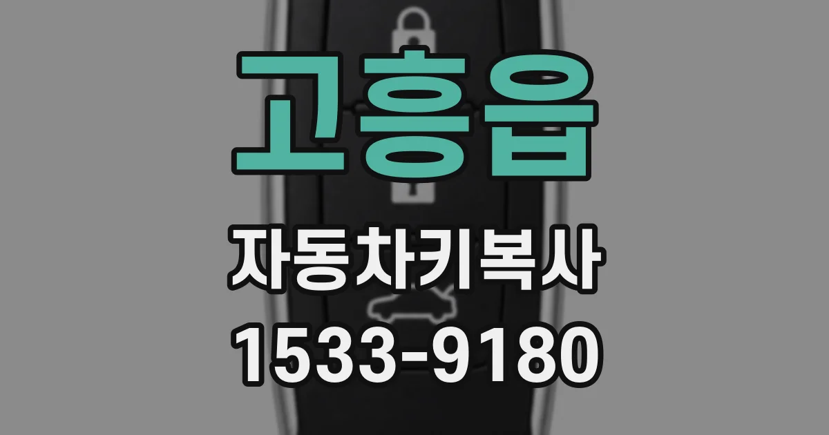 고흥읍 자동차키복사