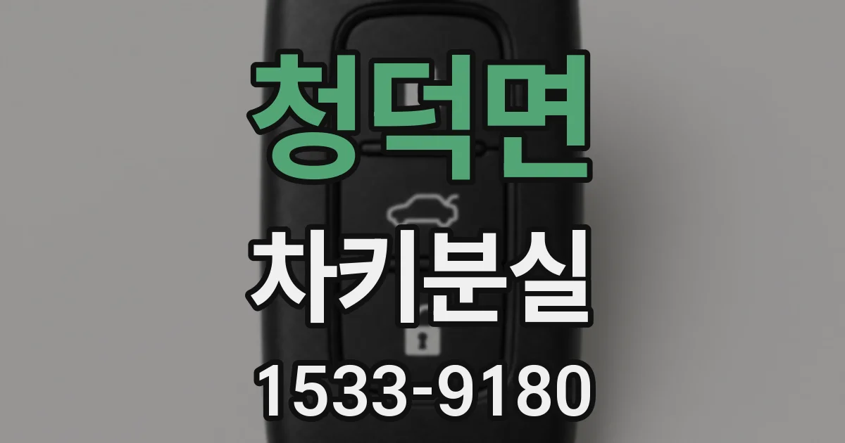 청덕면 차키분실