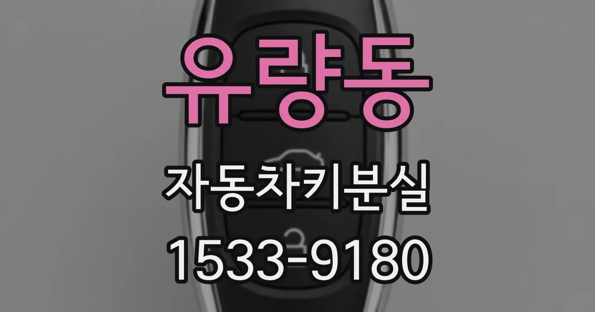 유량동 자동차키분실