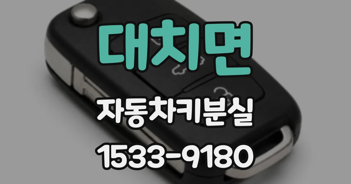 대치면 자동차키분실