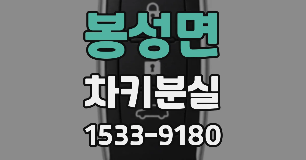 봉성면 차키분실