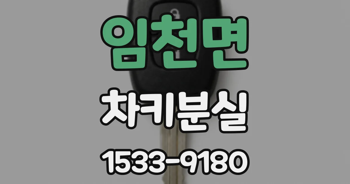 임천면 차키분실