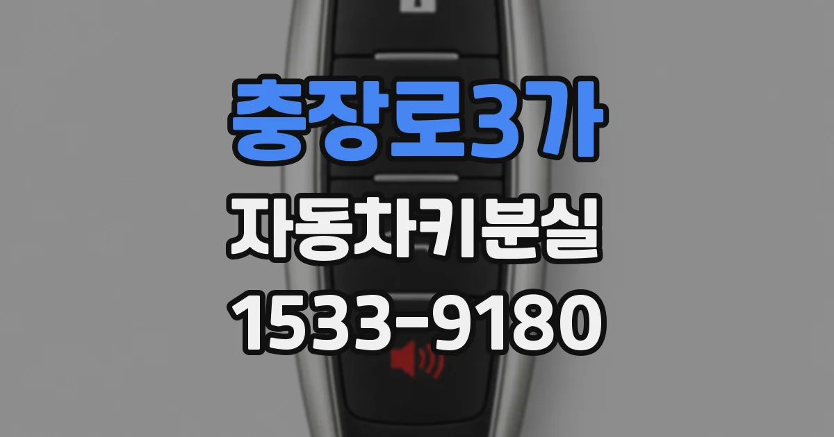 충장로3가 자동차키분실
