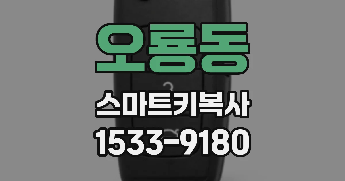 오룡동 스마트키복사