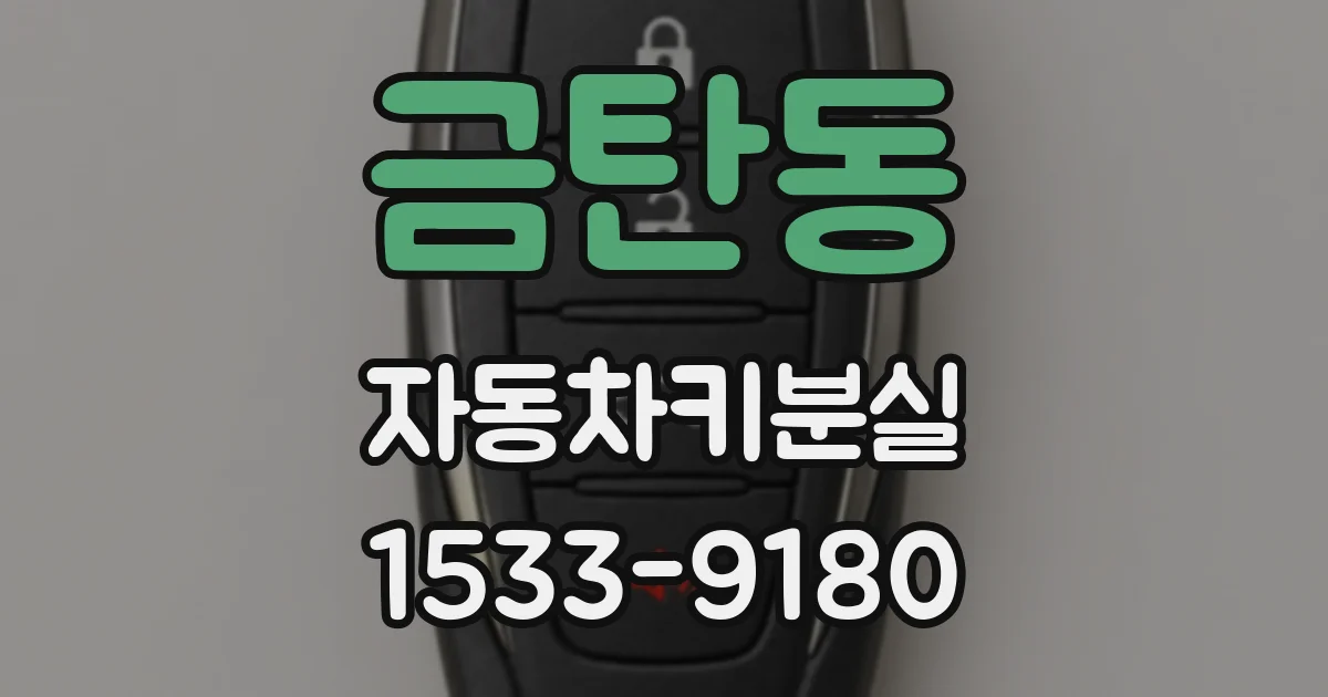 금탄동 자동차키분실