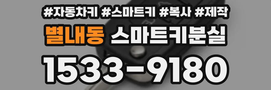 별내동 스마트키분실