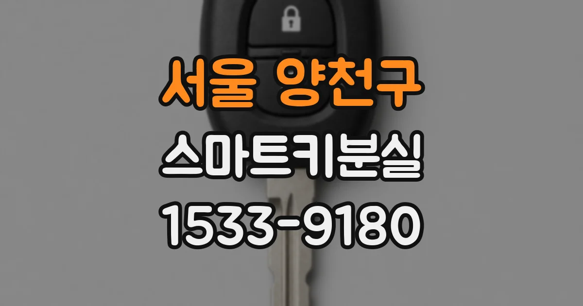 서울 양천구 스마트키분실
