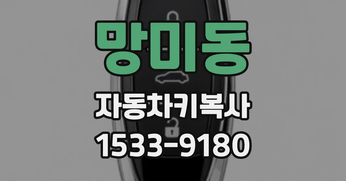 망미동 자동차키복사