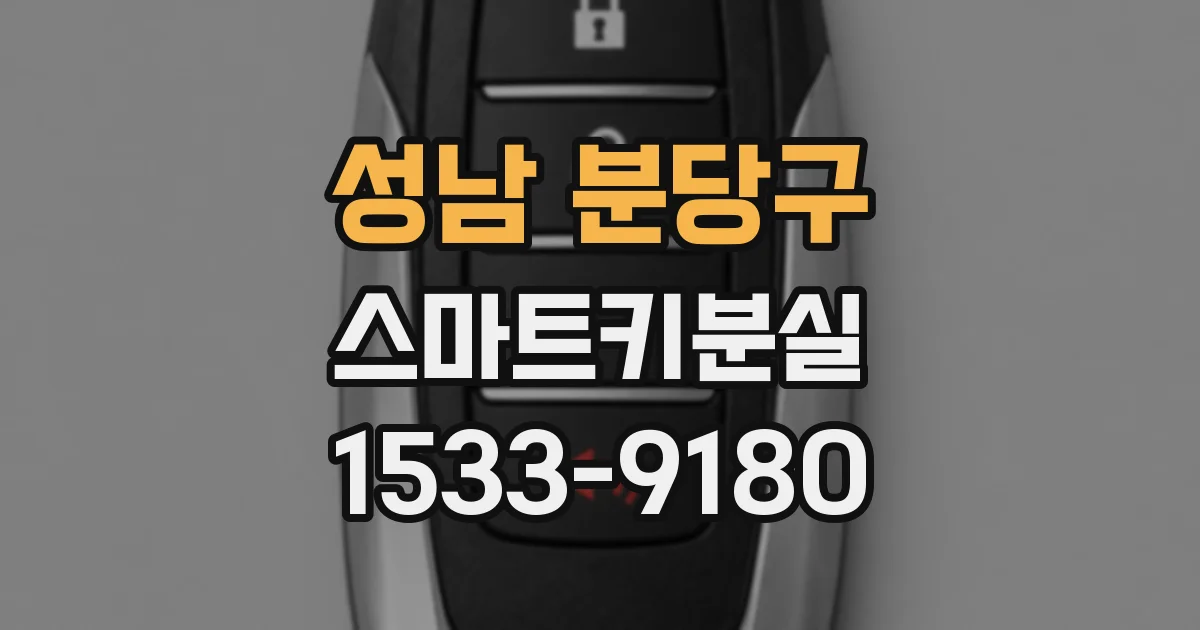 성남 분당구 스마트키분실