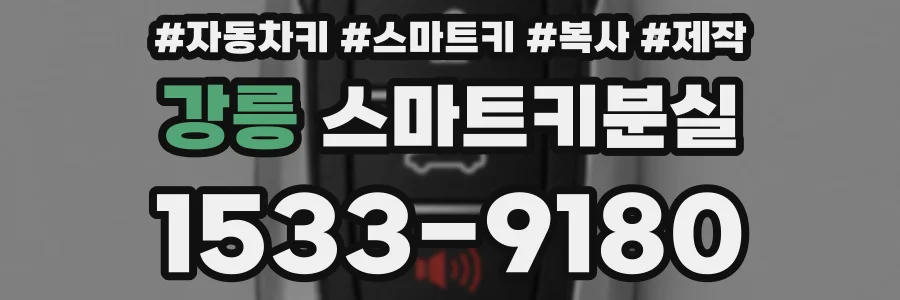 강릉 스마트키분실