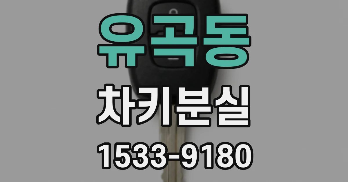 유곡동 차키분실