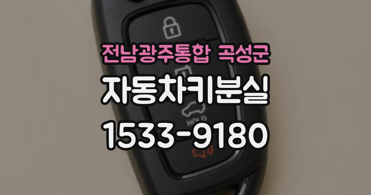 전남광주통합 곡성군 자동차키분실