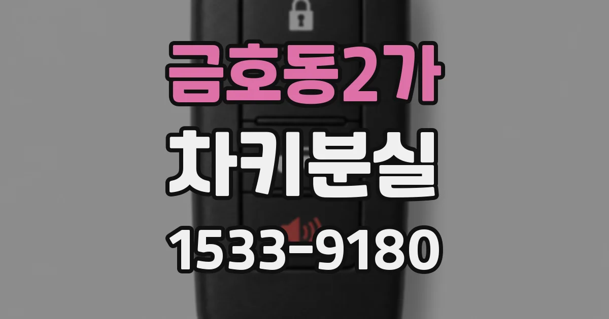 금호동2가 차키분실