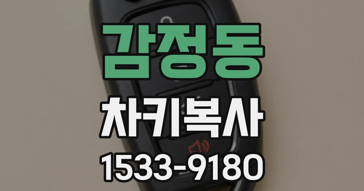 감정동 차키복사