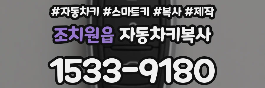 조치원읍 자동차키복사