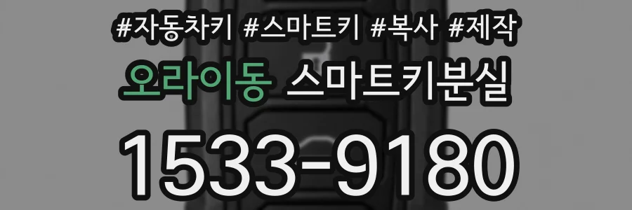 오라이동 스마트키분실