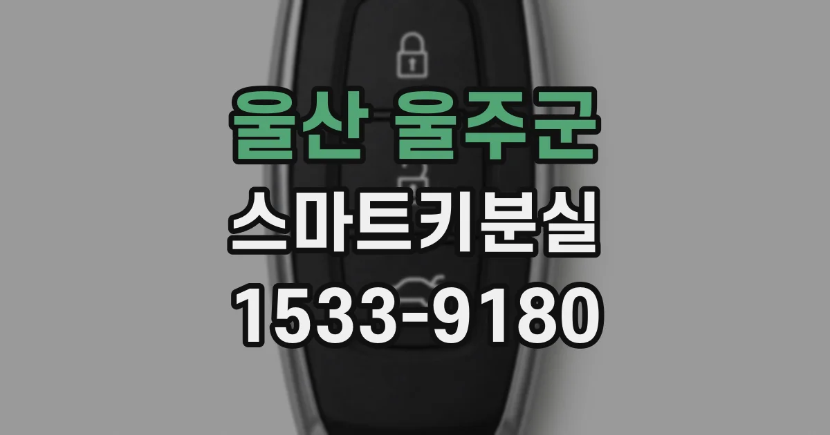 울산 울주군 스마트키분실