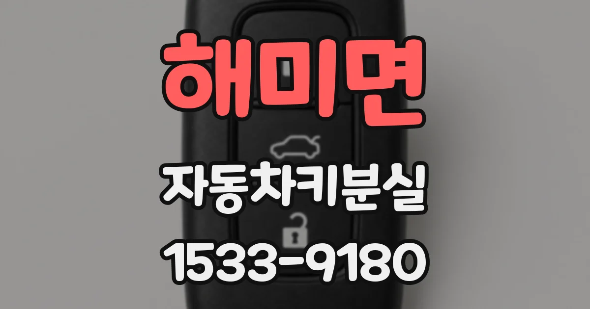 해미면 자동차키분실