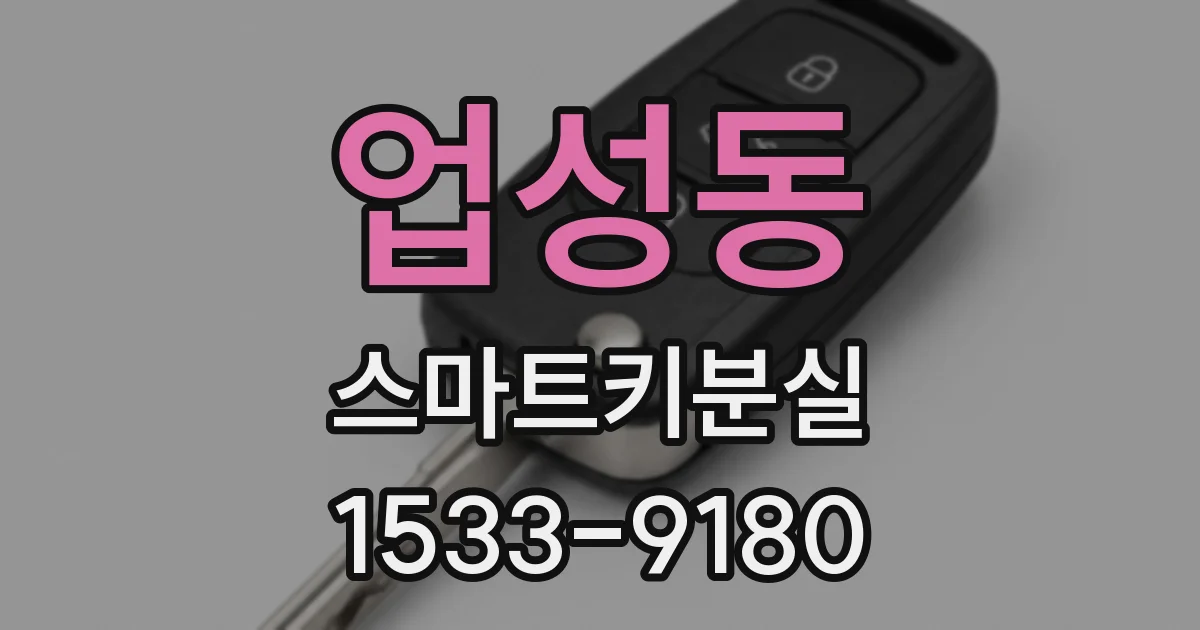 업성동 스마트키분실