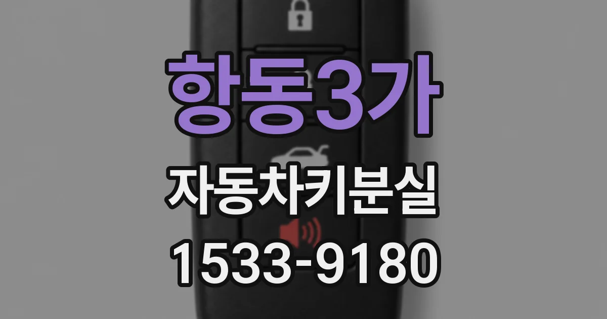항동3가 자동차키분실
